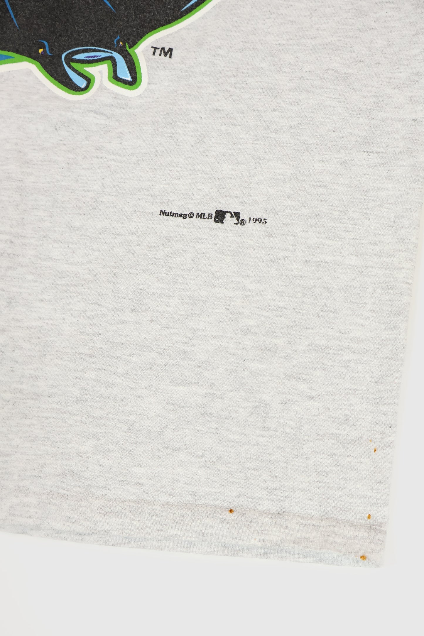 Vintage Tampa Bay Devil Rays Tee Image 3