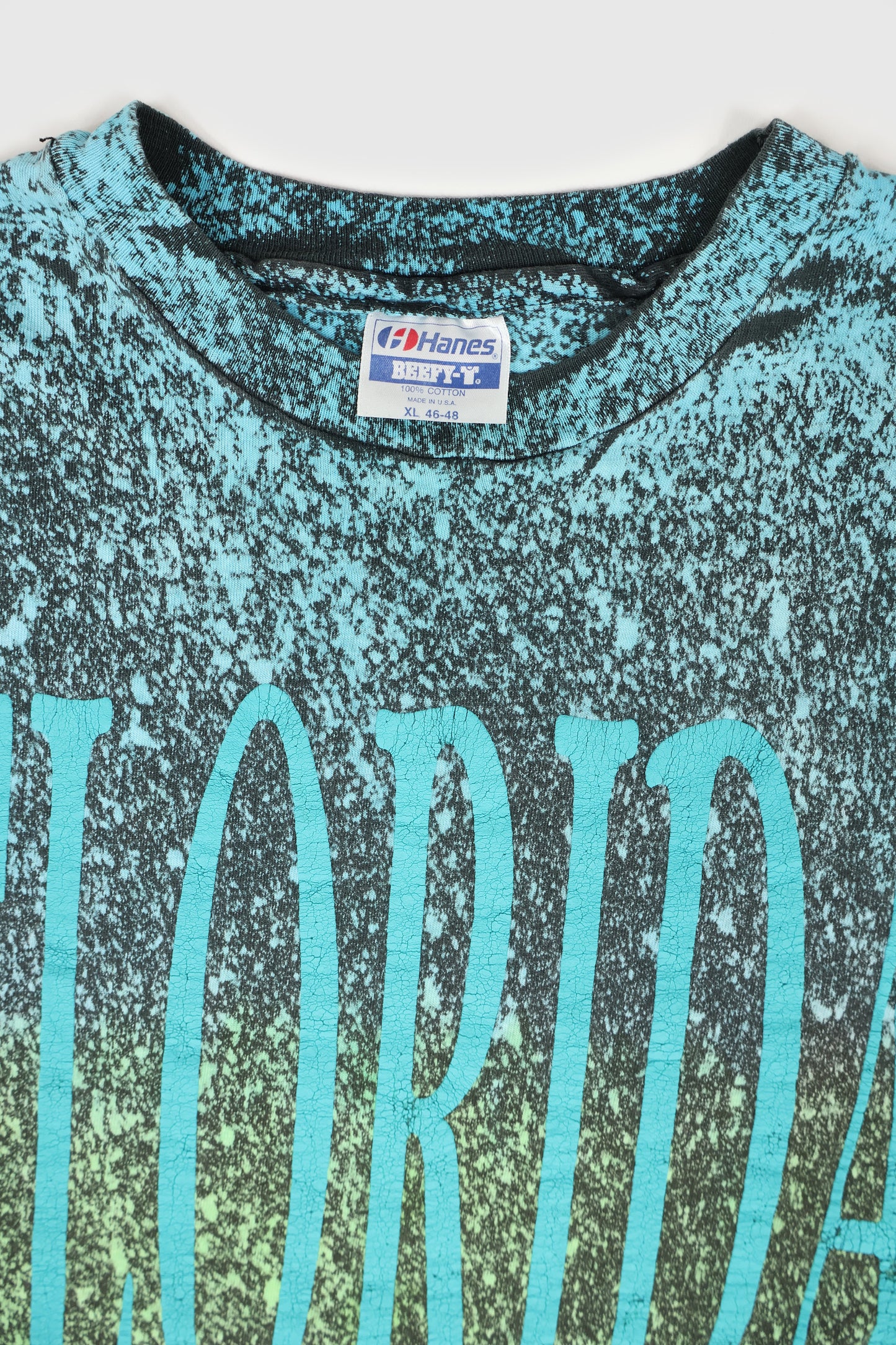 Vintage Florida Tee Image 2