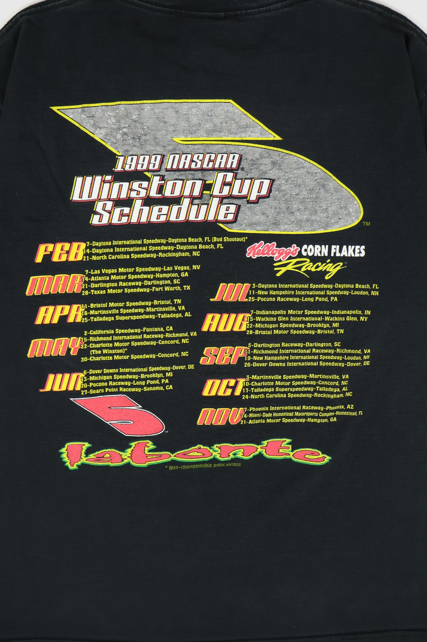 Vintage NASCAR 1999 Terry Labonte Tee