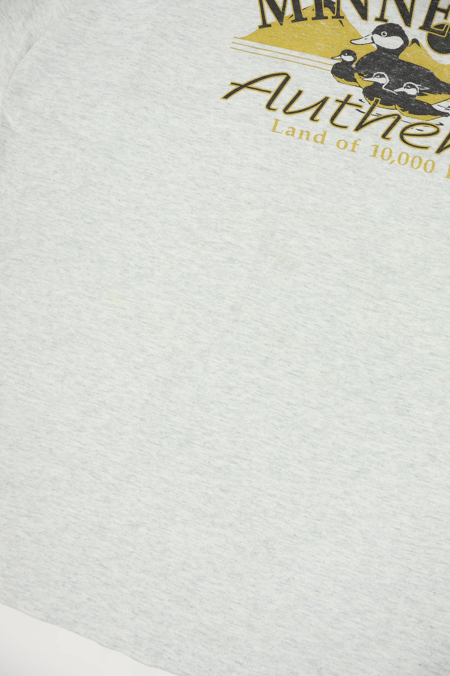 Vintage Minnesota Land of 10,000 Lakes Tee