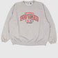 Vintage Detroit Red Wings Crewneck