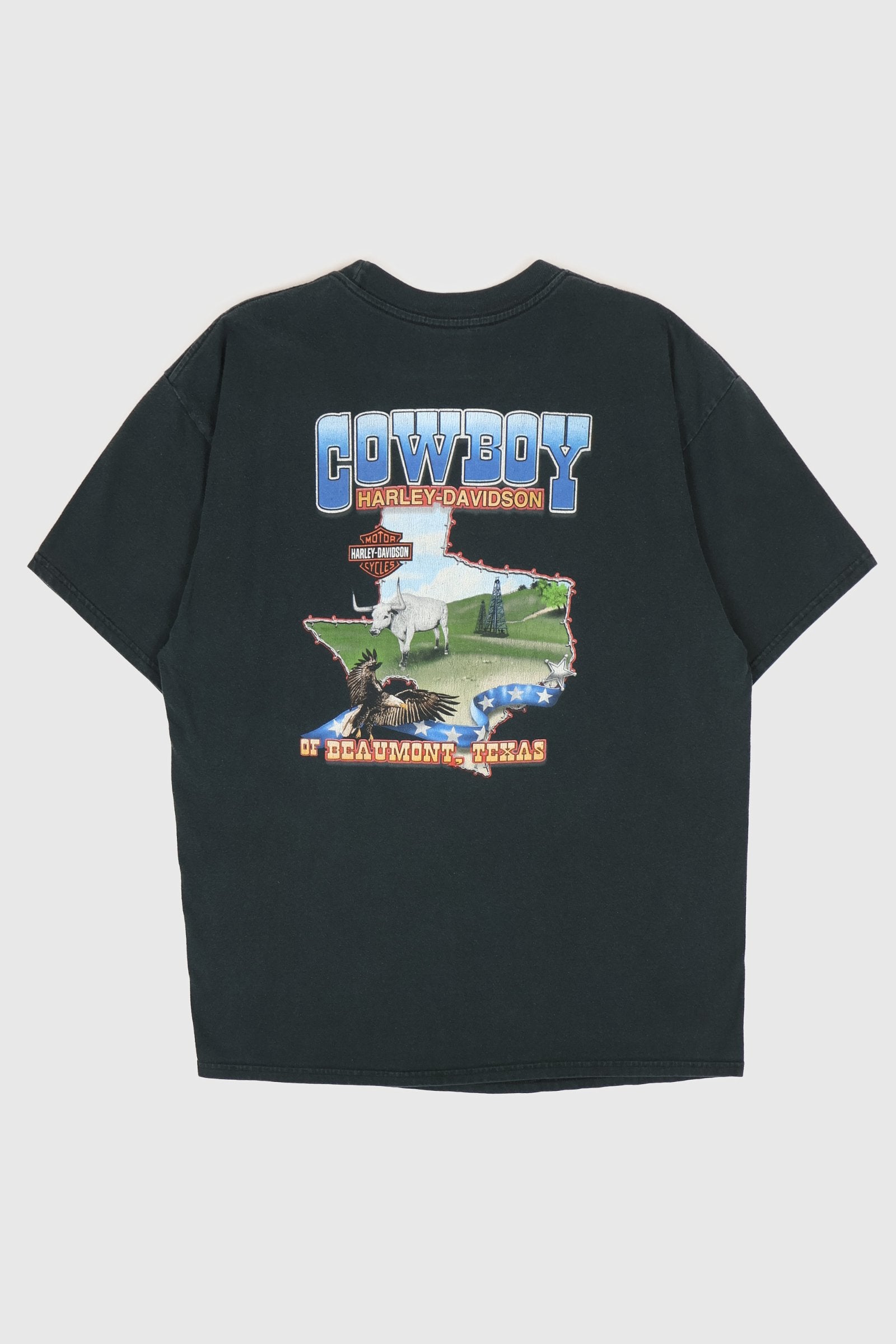 Vintage Y2K Harley-Davidson Cattle Skull Texas Tee Image 1
