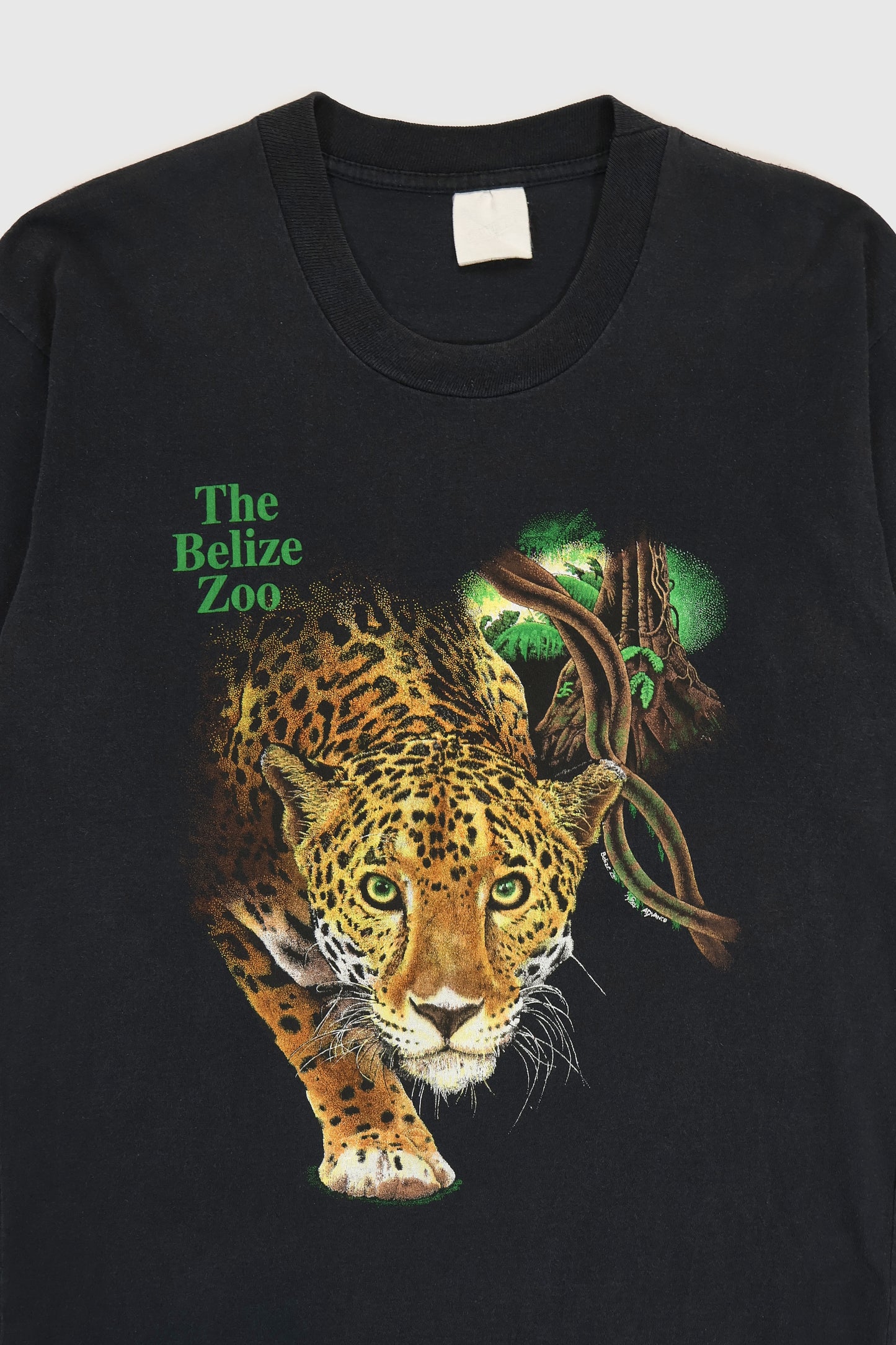 Vintage The Belize Zoo Jaguar Tee Image 1