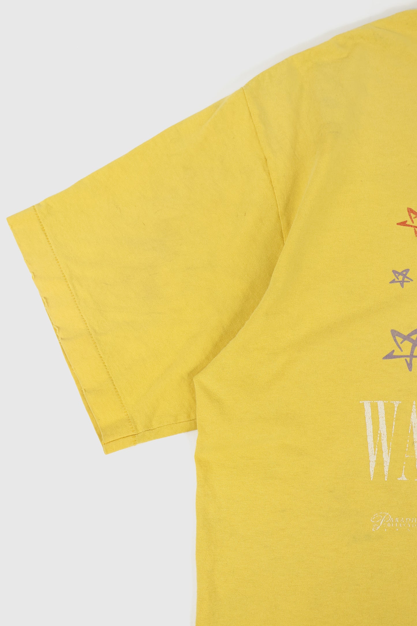 Vintage Distressed Washington DC Tee