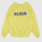 Vintage Delaware Small Wonder Crewneck Image 0