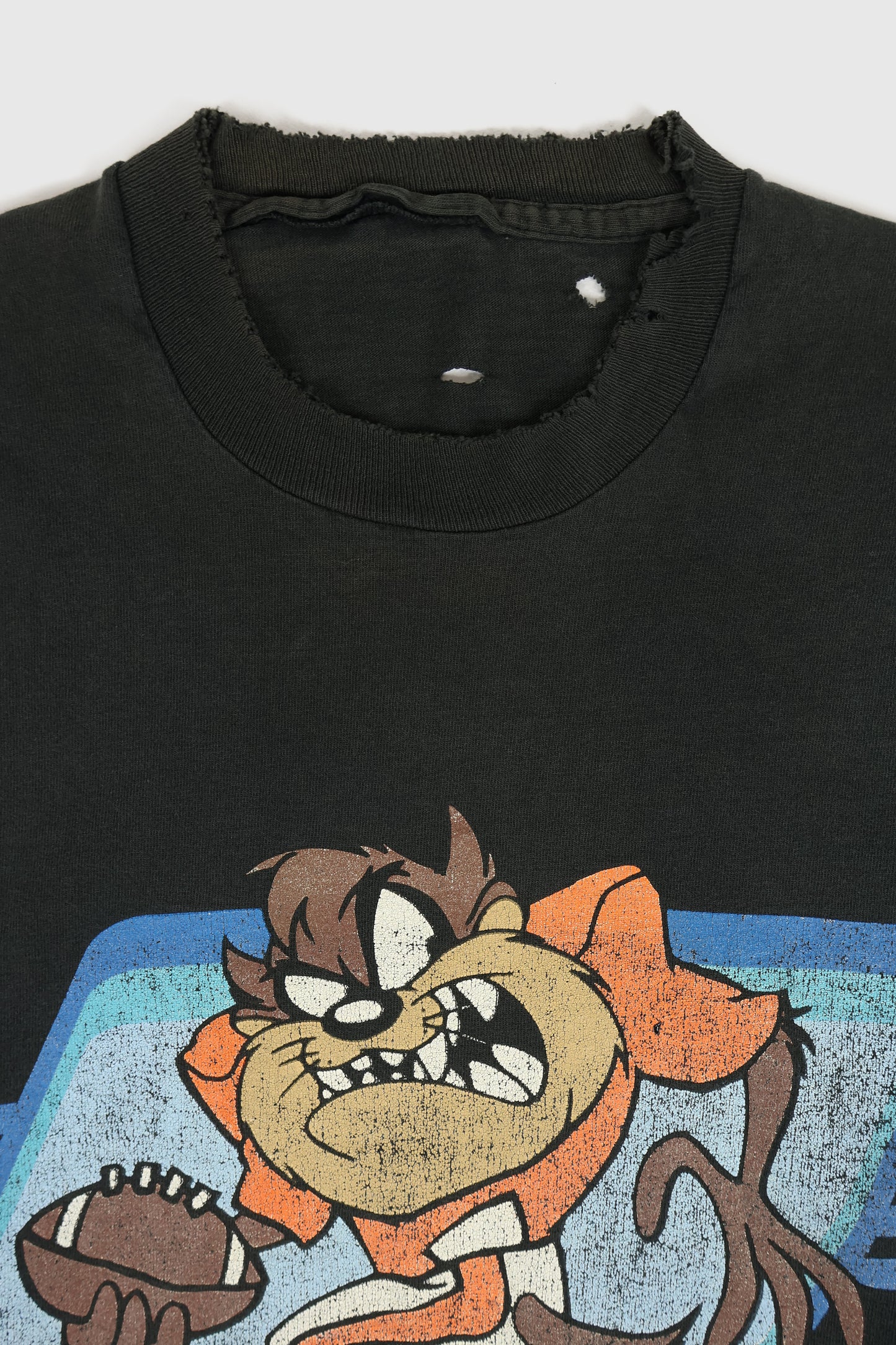 Vintage Distressed Taz Football Long Sleeve Tee Image 2