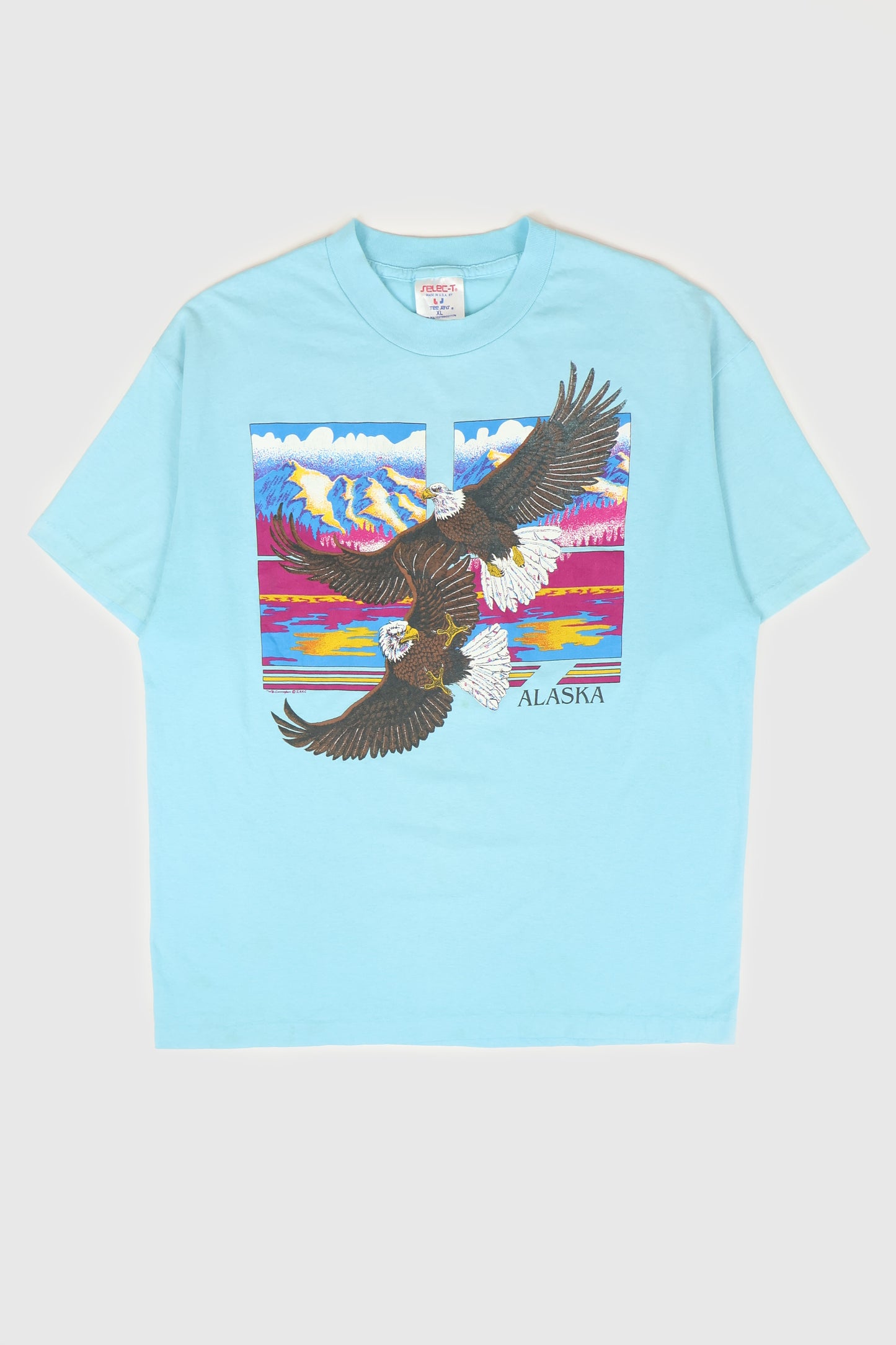 Vintage Alaska Tee Image 0