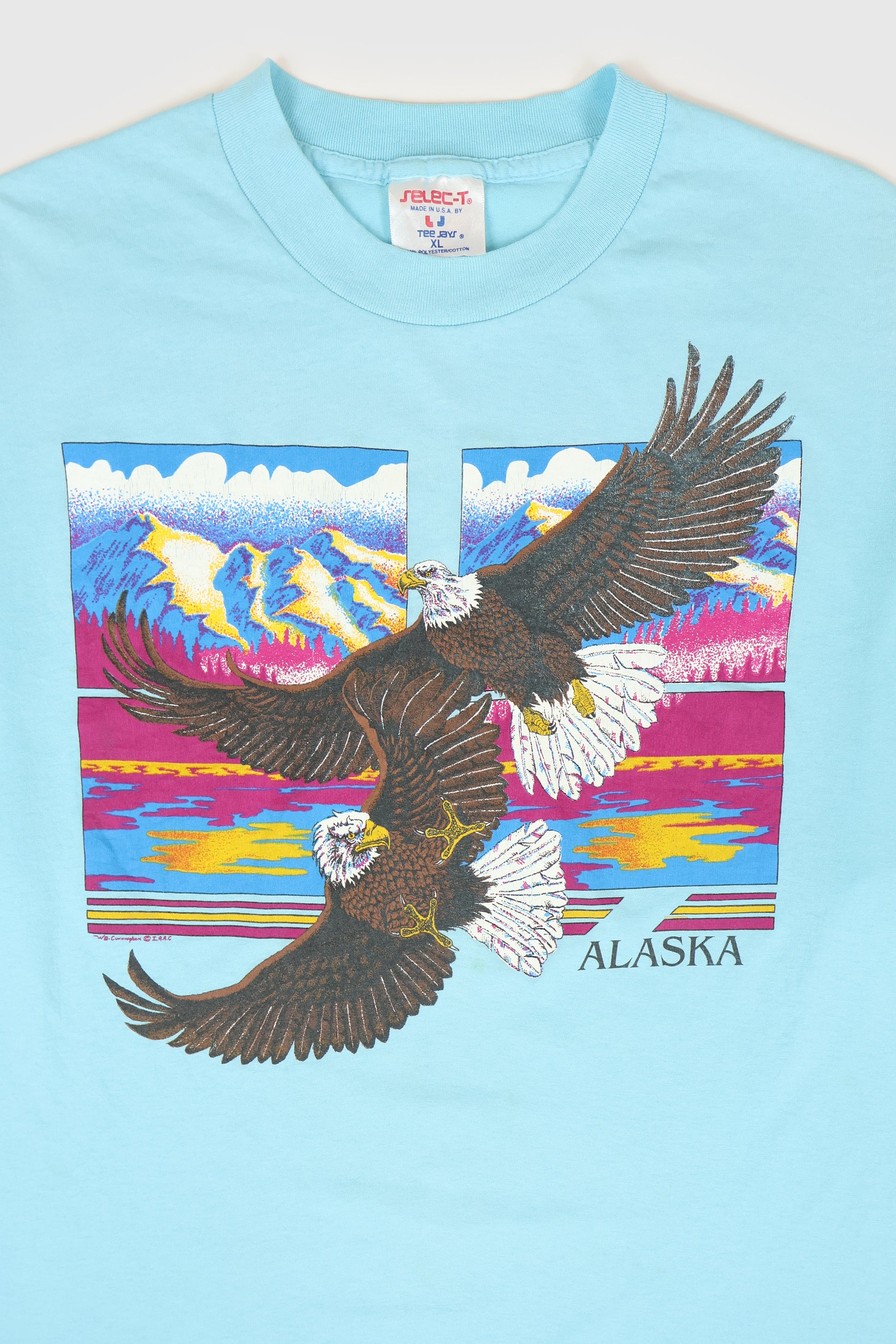 Vintage Alaska Tee Image 1