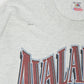 Vintage Colrado Avalanche Tee