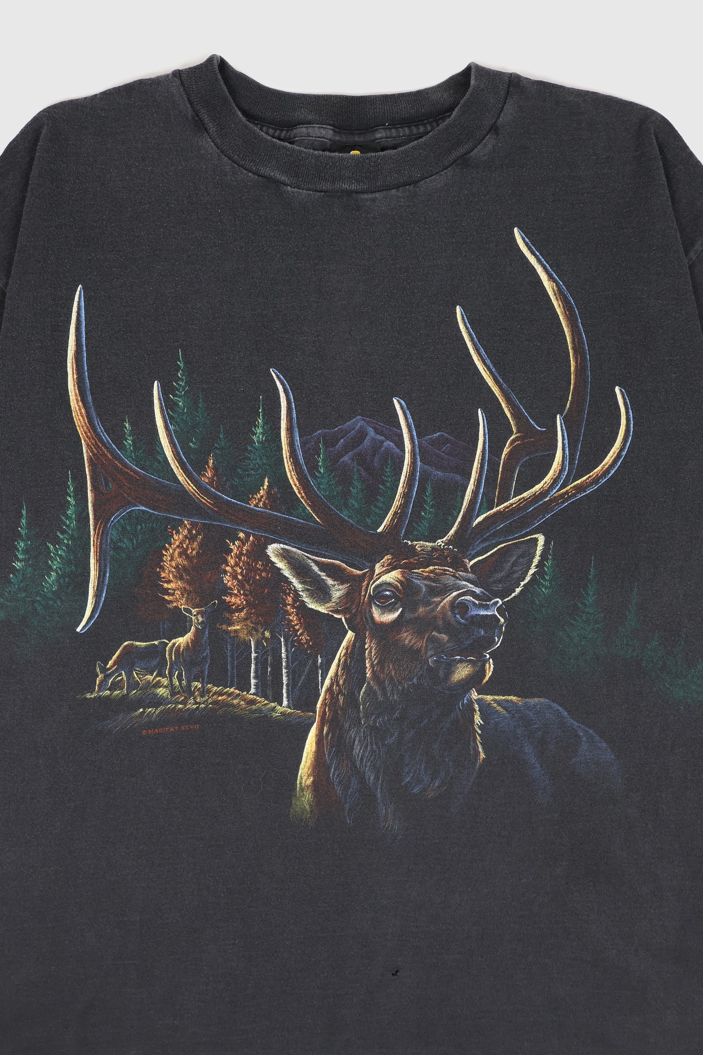 Vintage Buck Tee