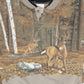 Vintage Buck Crewneck Image 2