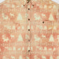 Vintage Faded Moose Pattern Flannel Button-Down Shirt Image 1
