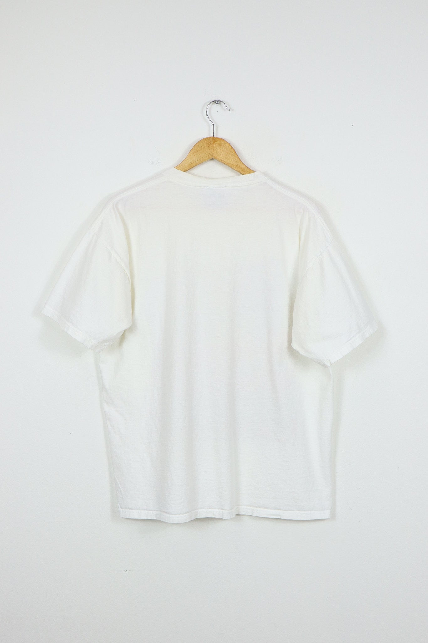 Vintage Dale Earnhardt Jr. NASCAR Tee