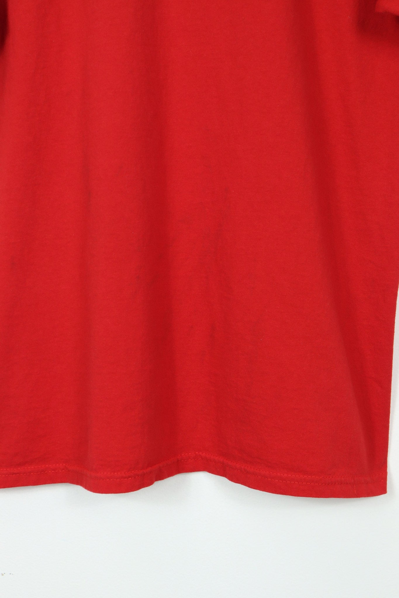 Vintage Dale Earnhardt Jr. Tee