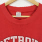 Vintage Thrashed Detroit Red Wings Crewneck