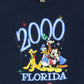 Vintage 2000 Disney Florida Tee