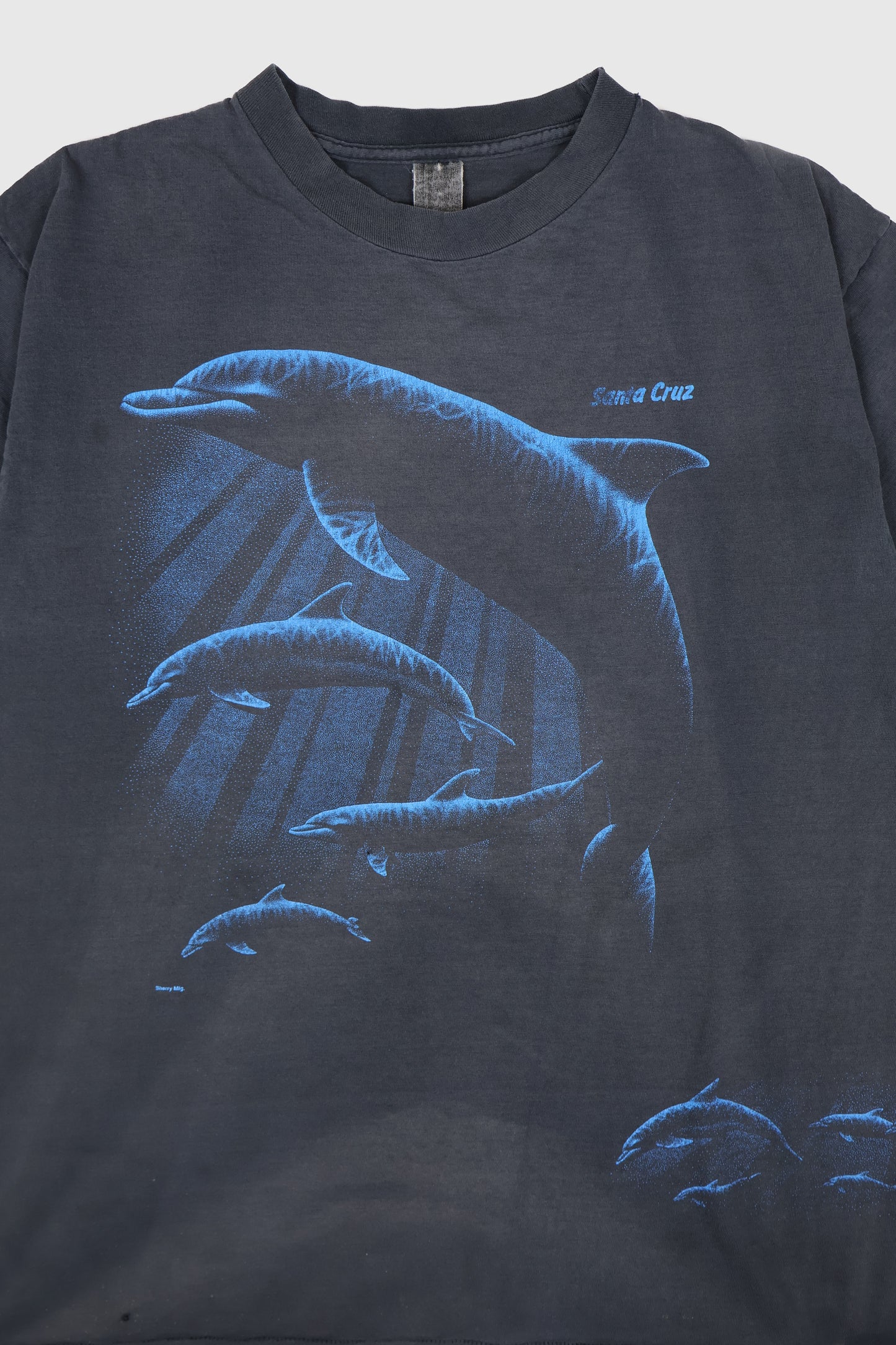 Vintage Santa Cruz Dolphins Tee Image 1