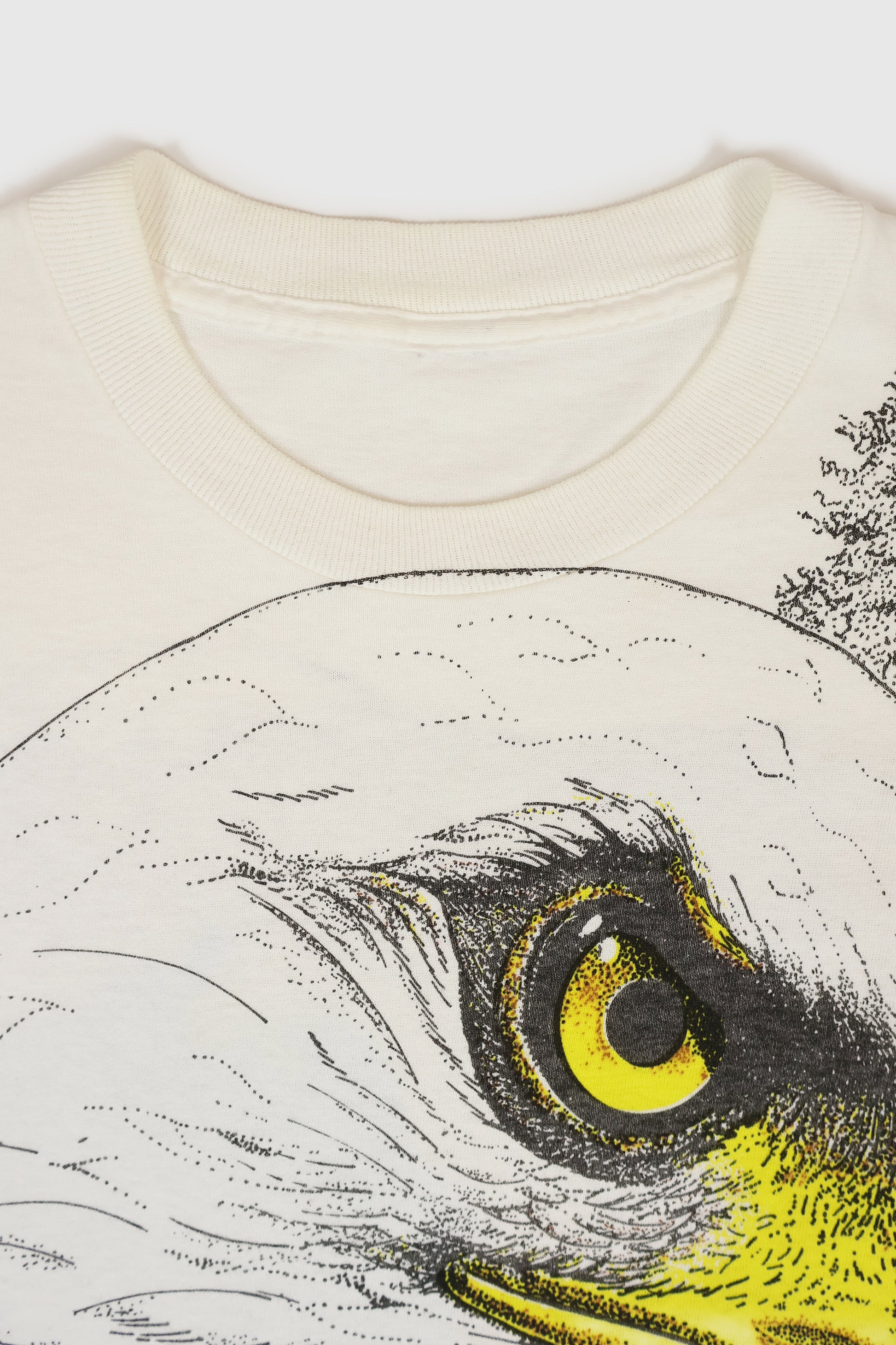 Vintage Eagle Tee Image 3