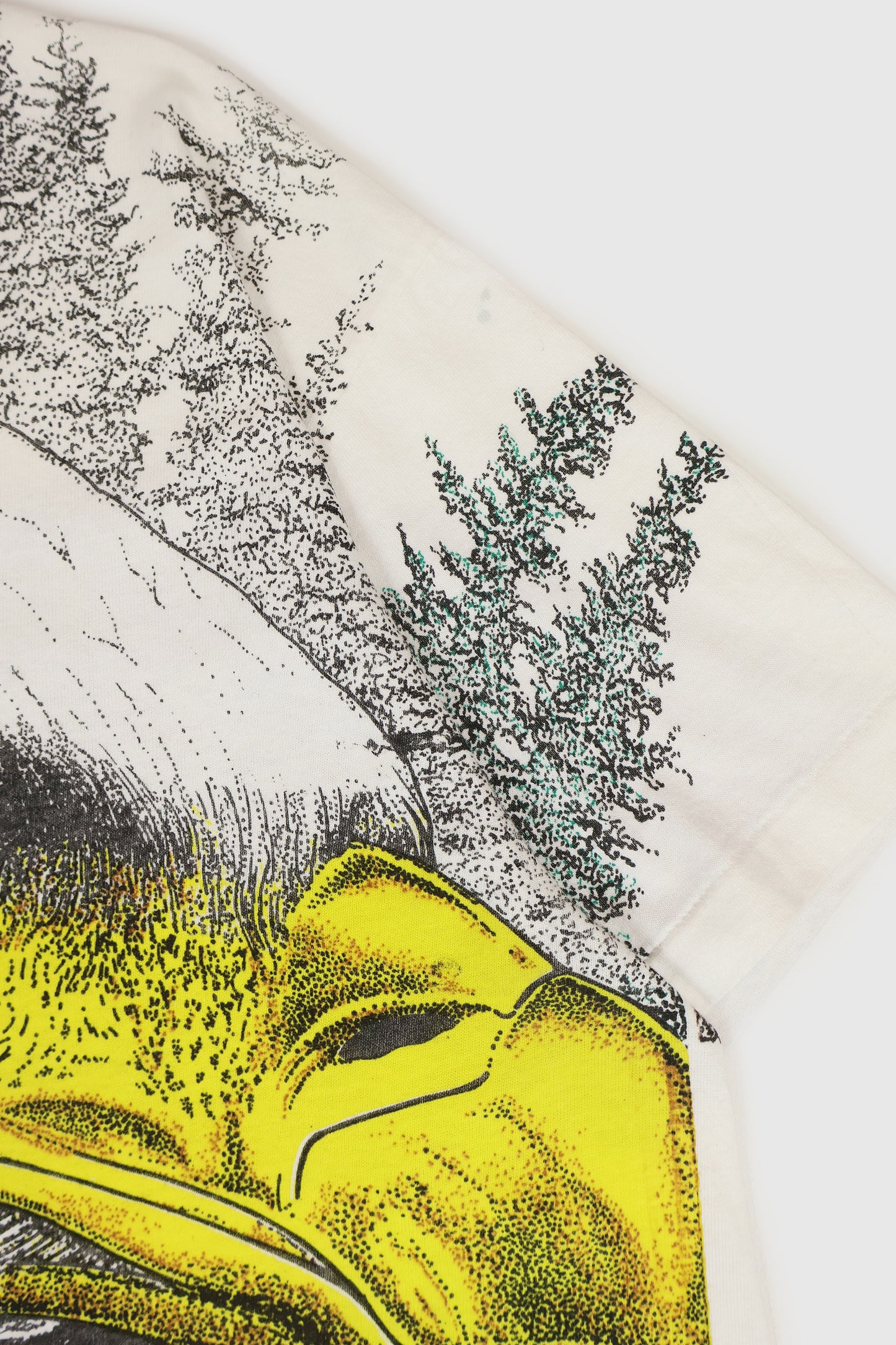 Vintage Eagle Tee Image 4