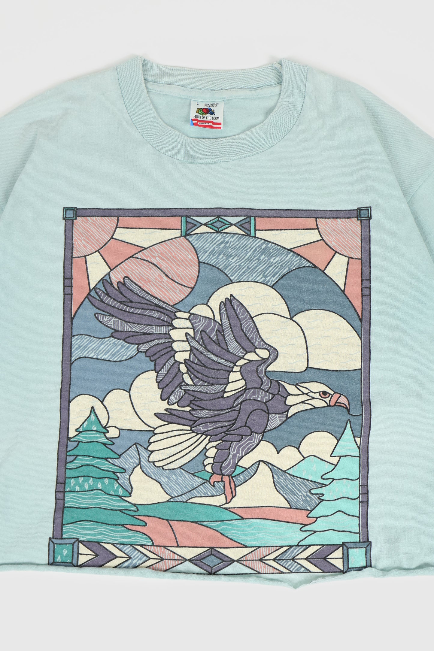 Vintage Cropped Eagle Tee