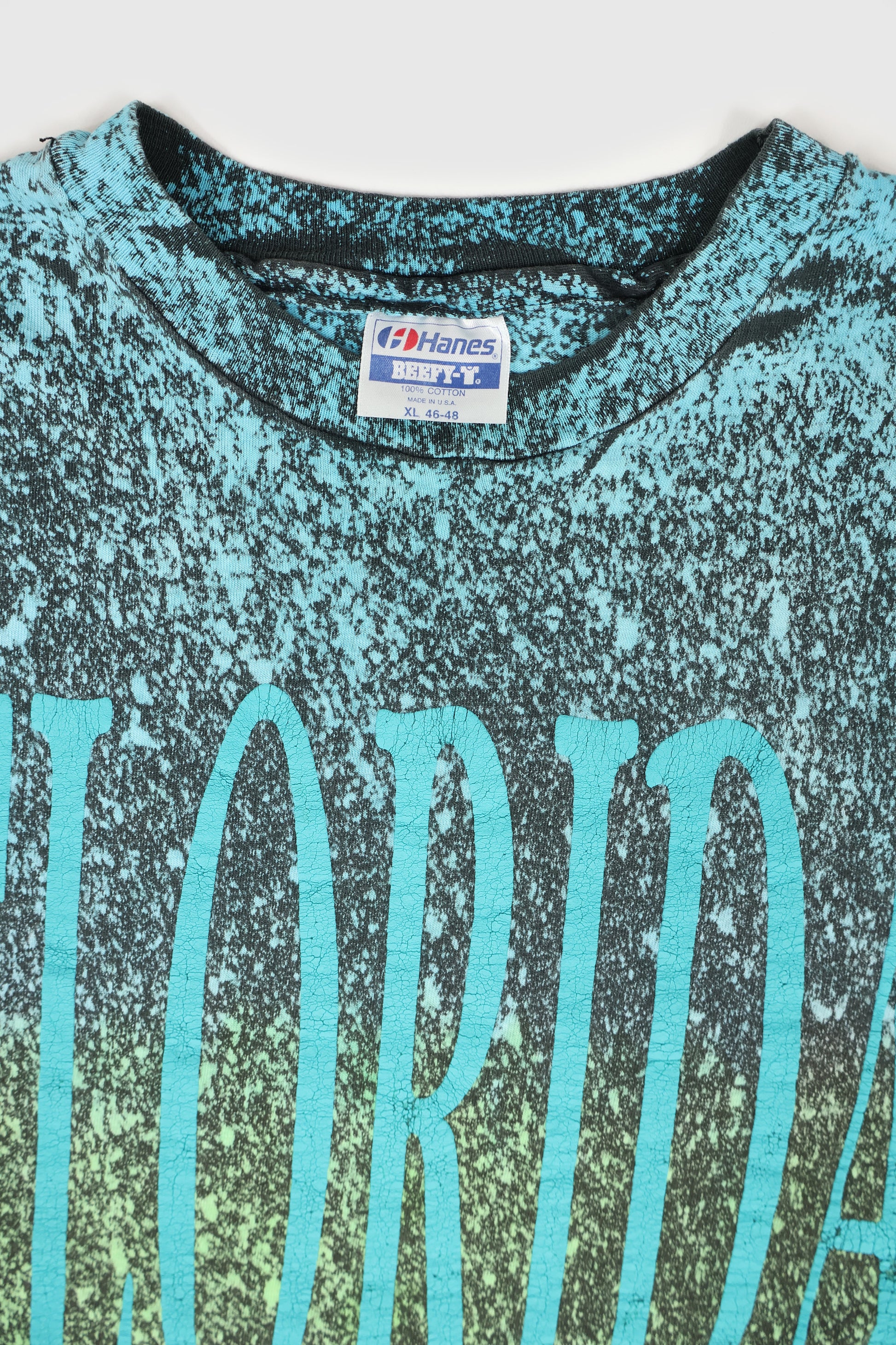 Vintage Florida Tee Image 2