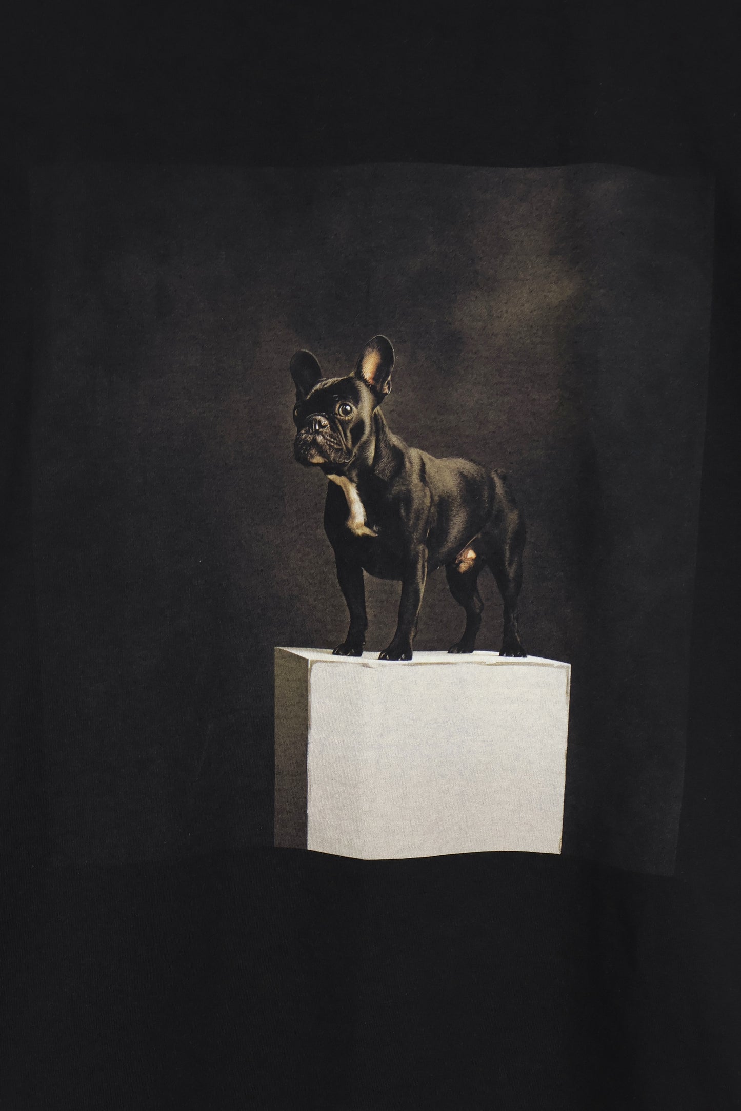 Frenchie Portrait Tee