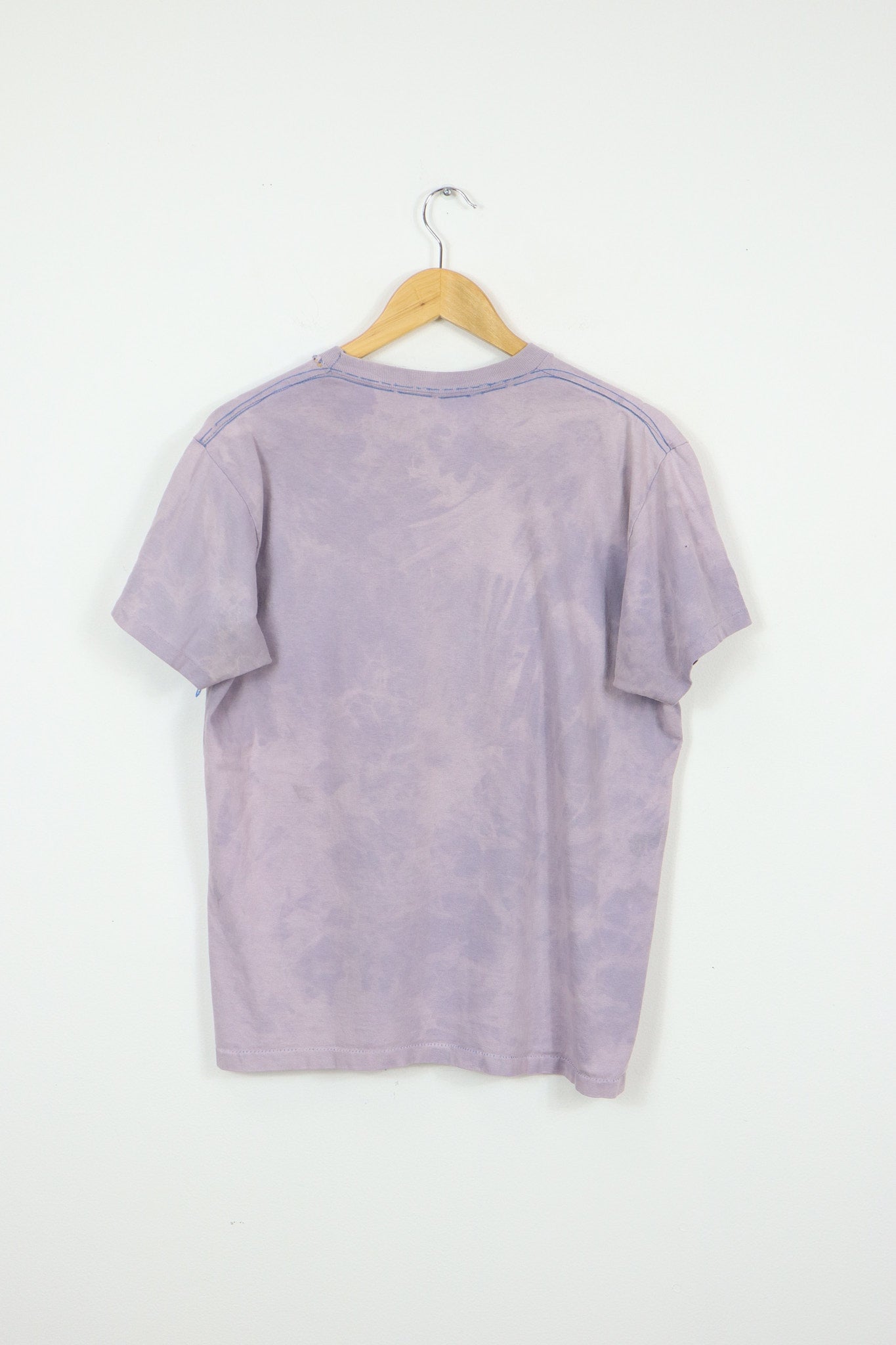 Vintage Taz & Sylvester New York Giants Air It Out Tee