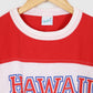Vintage Hawaii 91 Tee