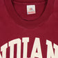 Vintage Indiana University Tee