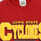 Vintage Iowa State Crewneck