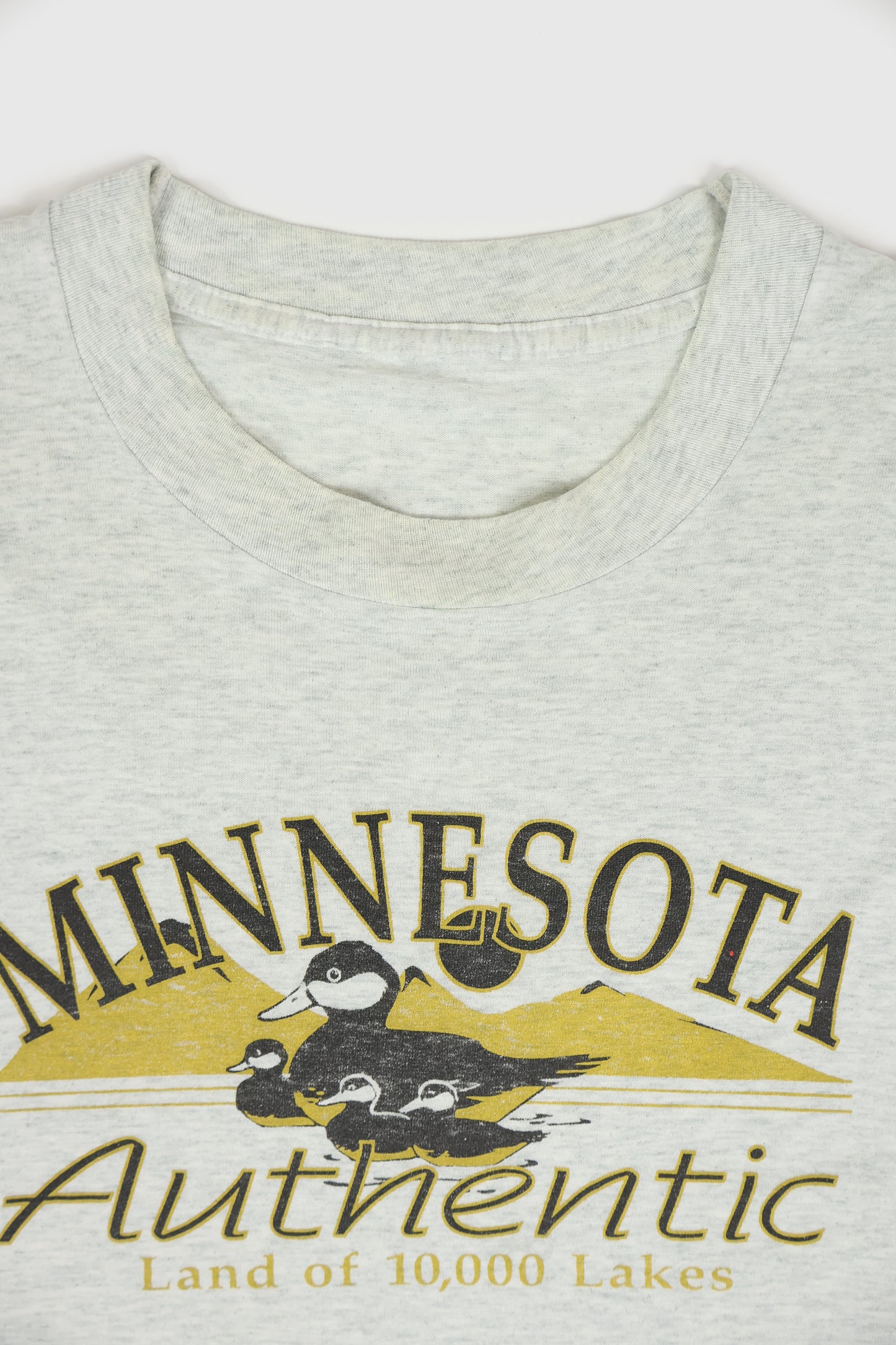 Vintage Minnesota Land of 10,000 Lakes Tee
