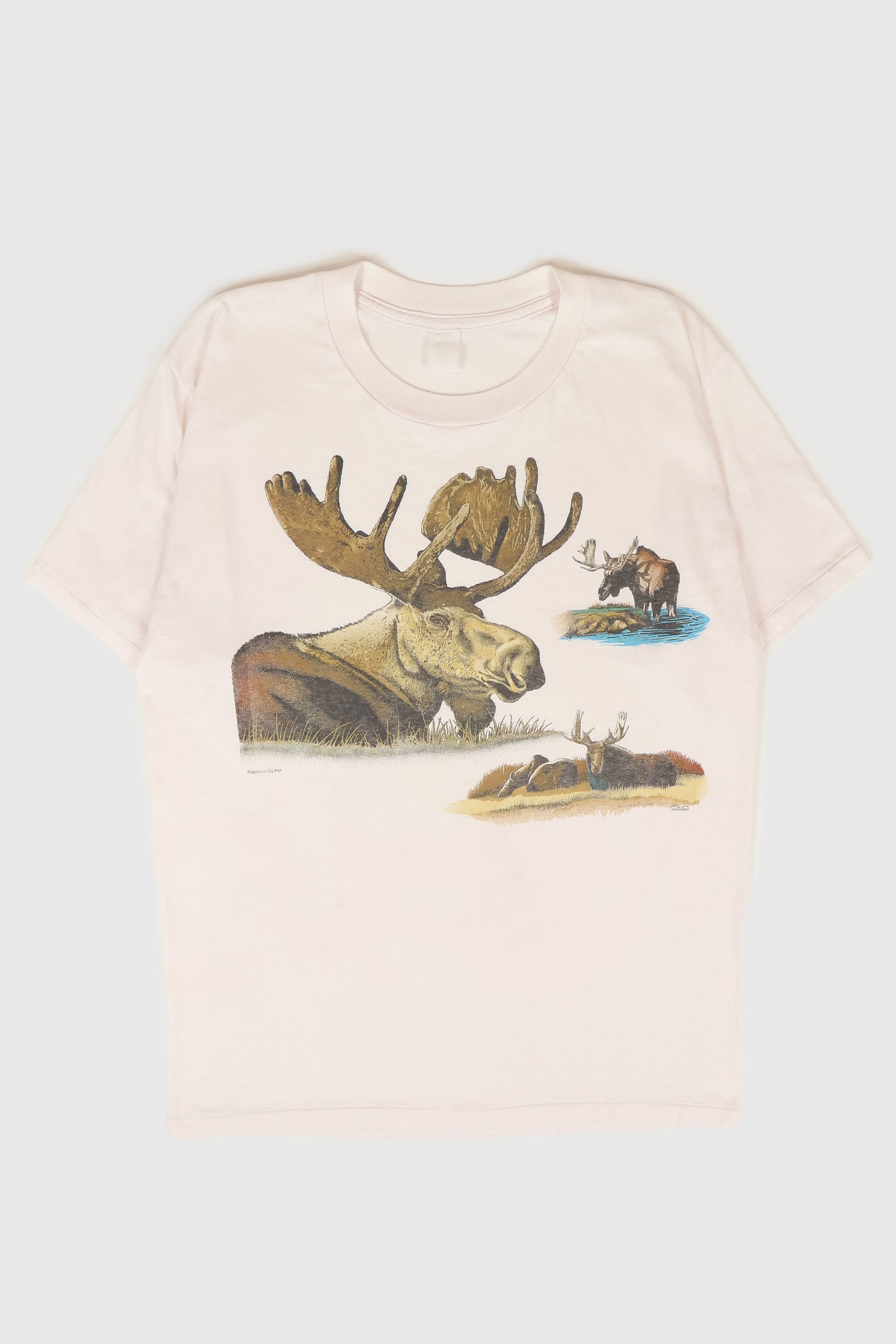 Vintage Moose Tee Image 0