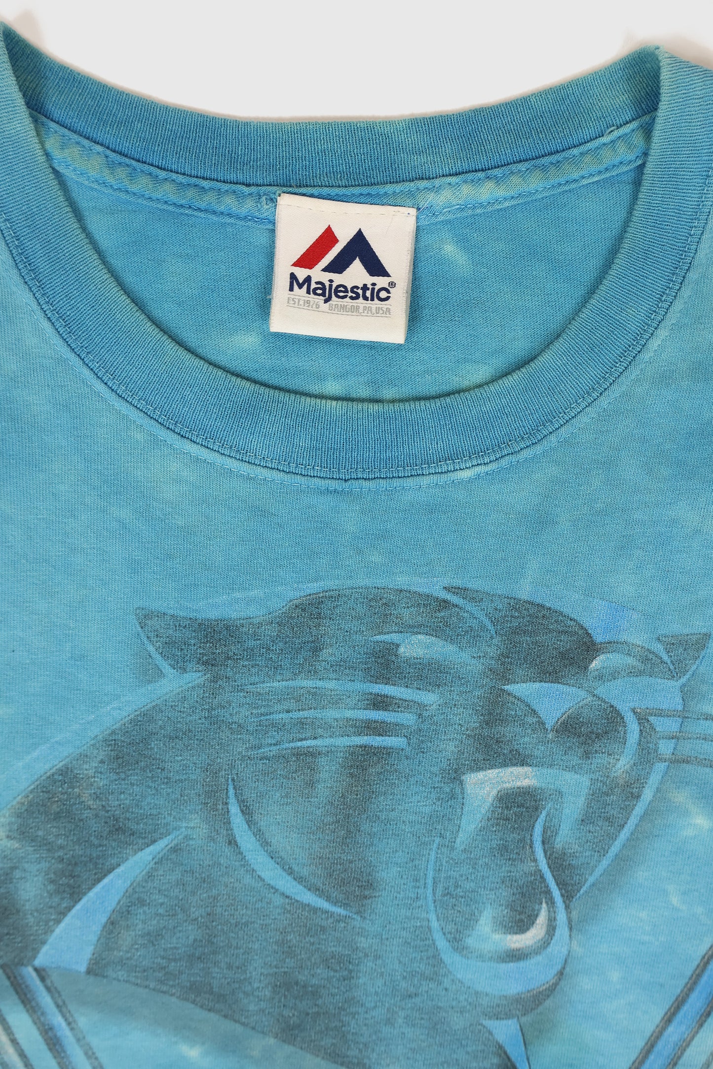 Vintage Carolina Panthers Tee Image 3