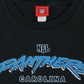 Vintage Carolina Panthers Tee Image 2
