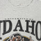 Vintage Distressed Taz University of Idaho Tee