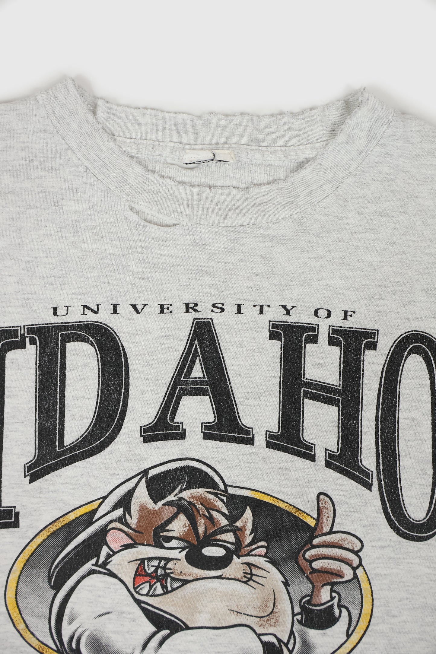 Vintage Distressed Taz University of Idaho Tee