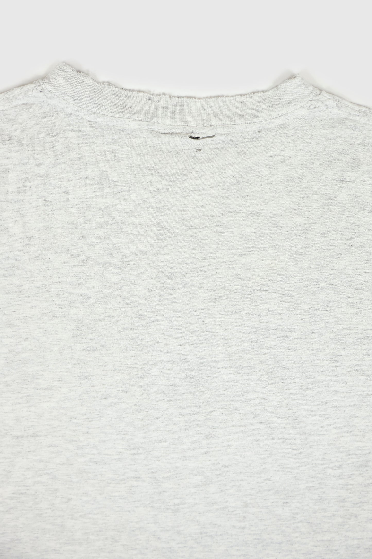 Vintage Distressed Taz University of Idaho Tee