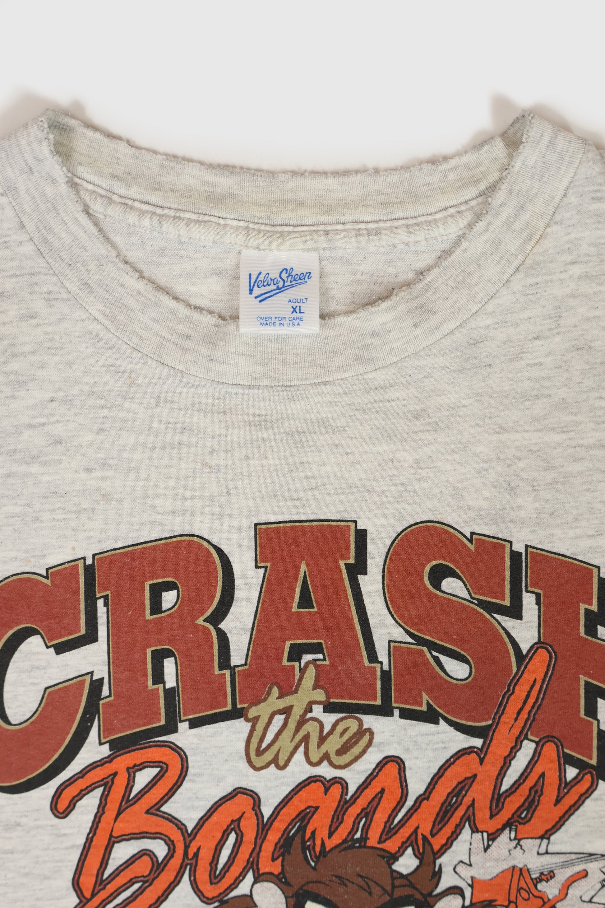 Vintage Distressed Taz Crash The Boards Tee Image 2