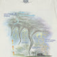 Vintage Anatomy of a Tornado Tee Image 2