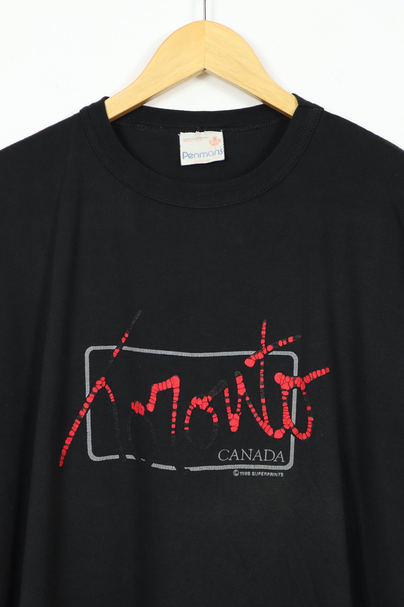 Vintage Faded Toronto Tee