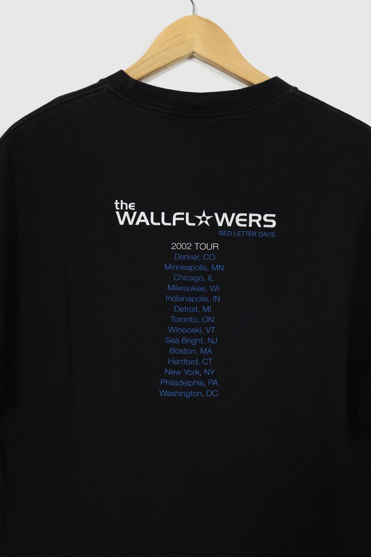 Vintage The Wallflowers 2002 Tour Tee