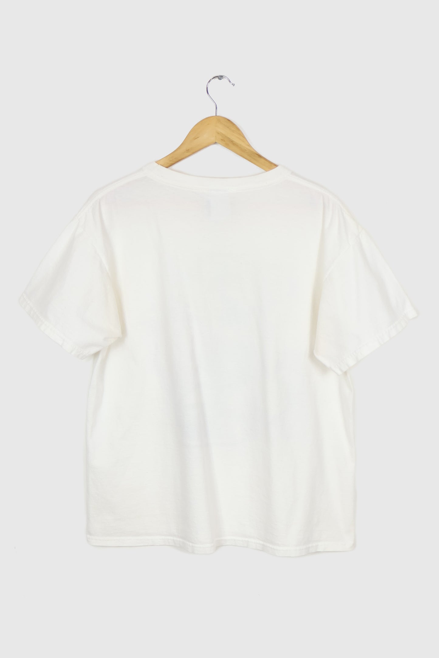 Vintage Dale Earnhardt Jr. NASCAR Tee