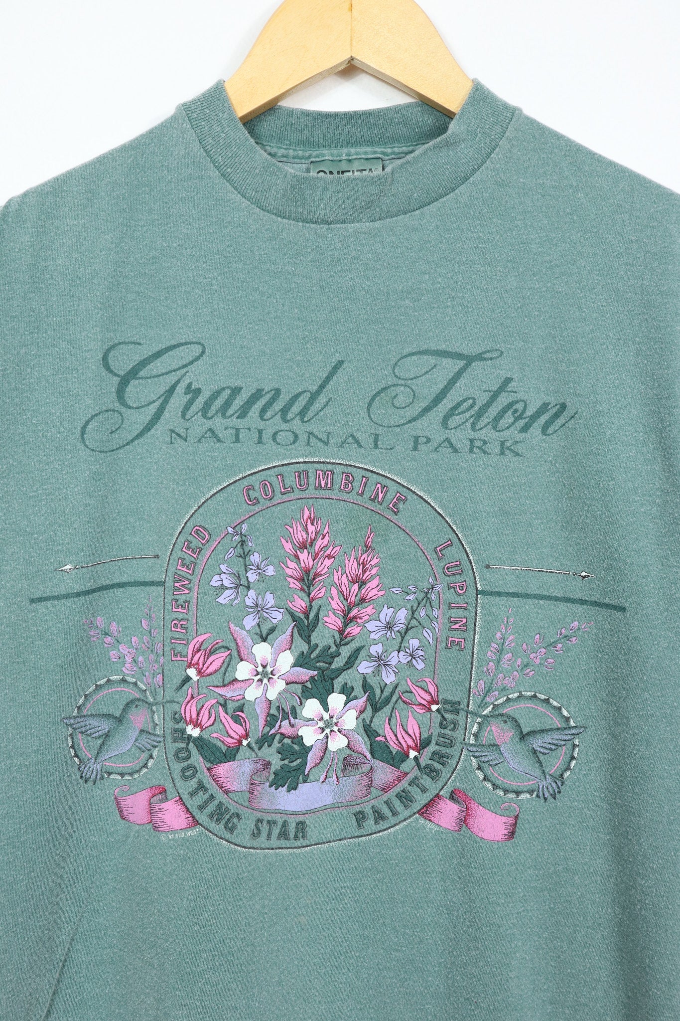 Vintage Faded Grand  Teton Nation Park Tee
