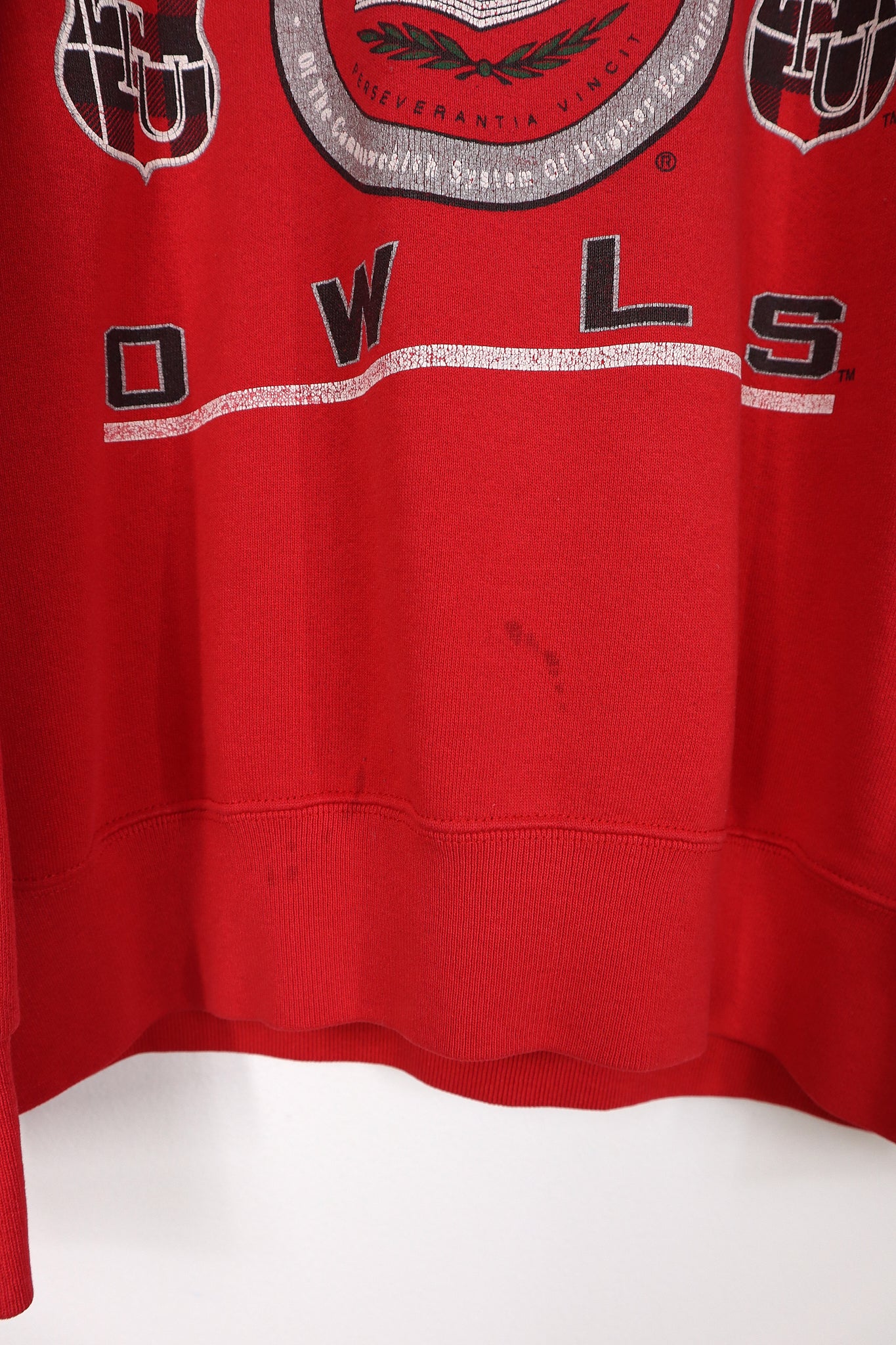 Vintage Temple Crewneck