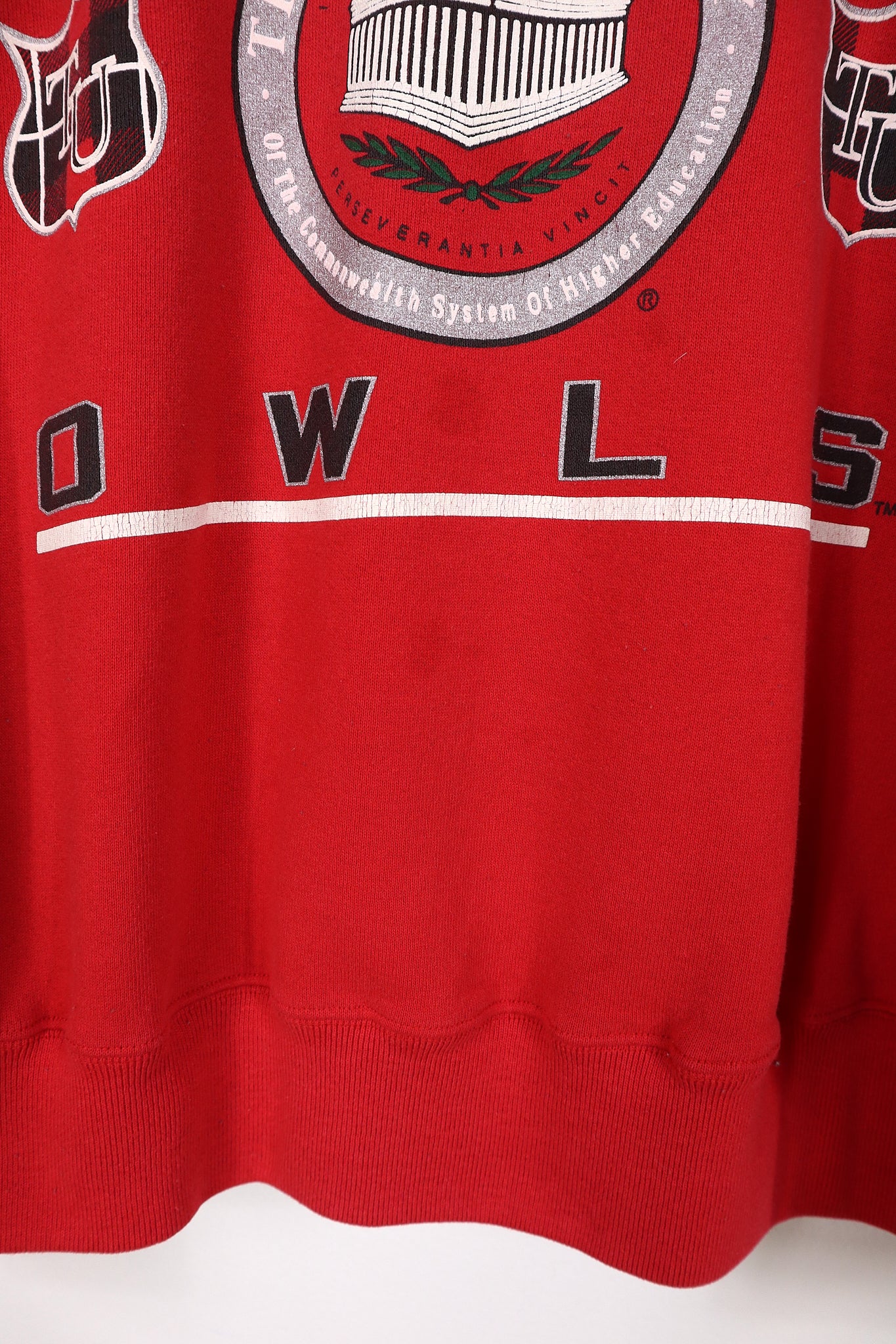 Vintage Temple Crewneck